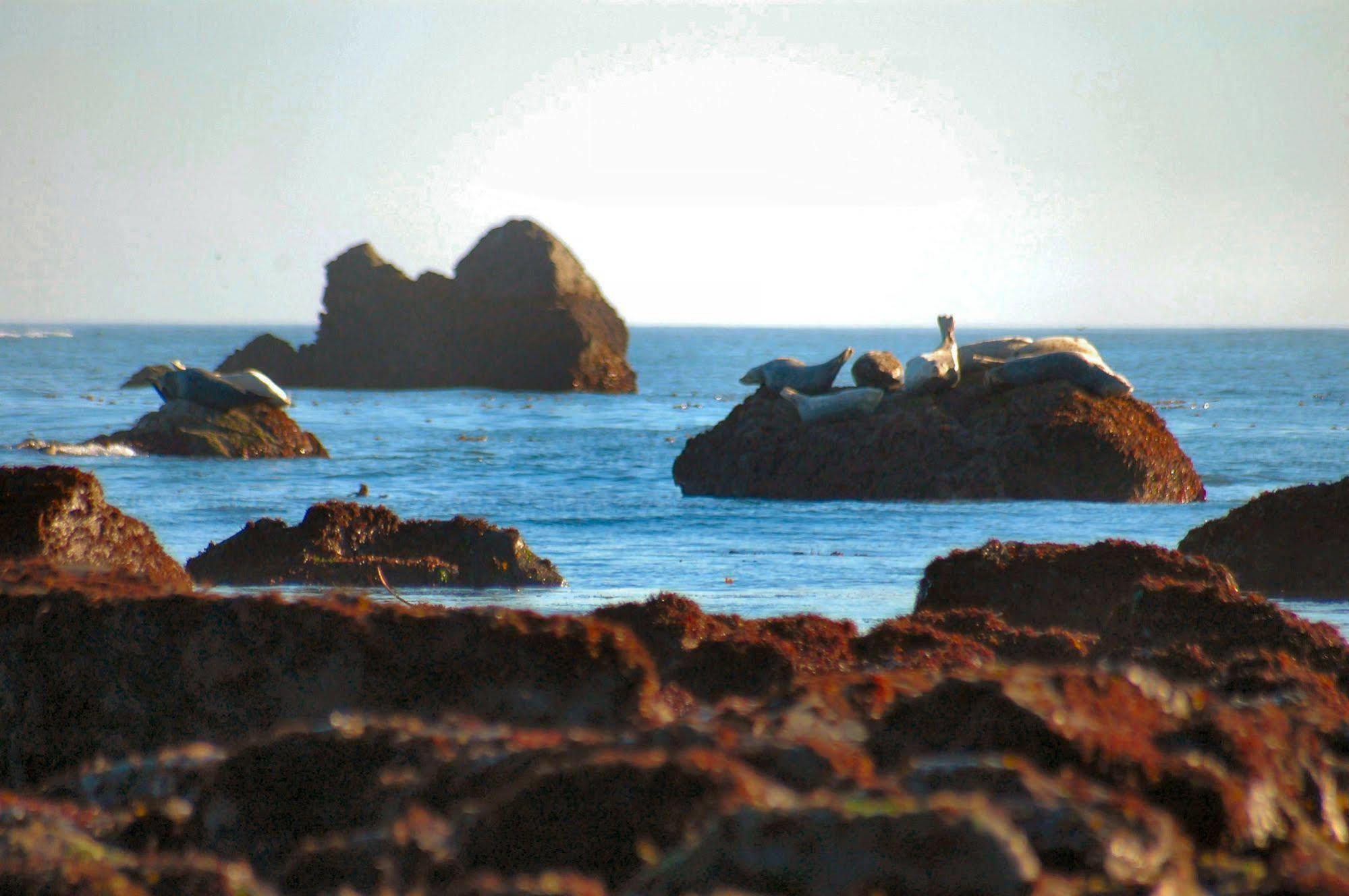 Oceanfront Lodge *